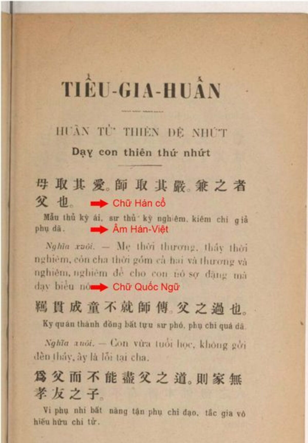 Vai trò của chữ hán trong việc nghiên cứu lịch sử việt nam 2